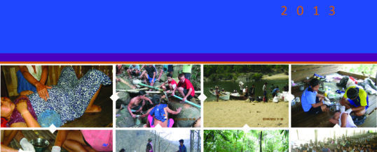 BPHWT 2013 Annual Report